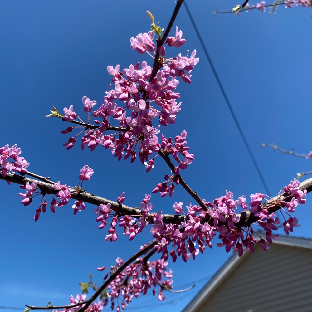 Meet your Posher, Chrissy